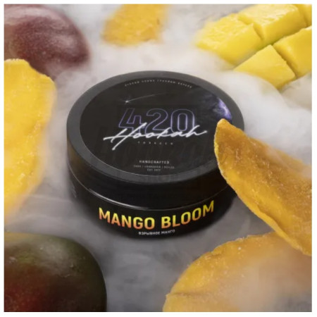 Тютюн 4:20 Classic Line Mango Bloom (Манго) 40 гр