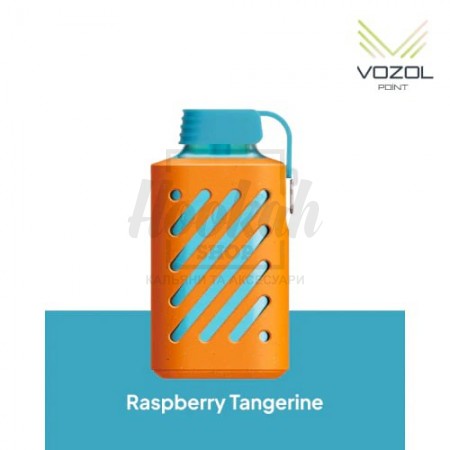 Электронная сигарета Vozol 10000 Raspberry Tangerine (Малина Мандарин)