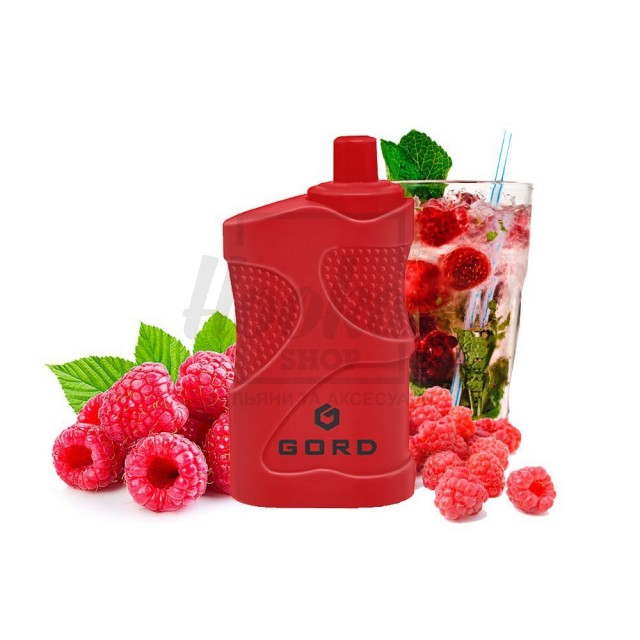 Электронная сигарета Gord G-05 4000 Raspberry Mojito  (Малиновый Мохито)