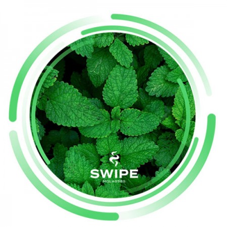 Суміш Swipe Mint (М'ята) 250Гр