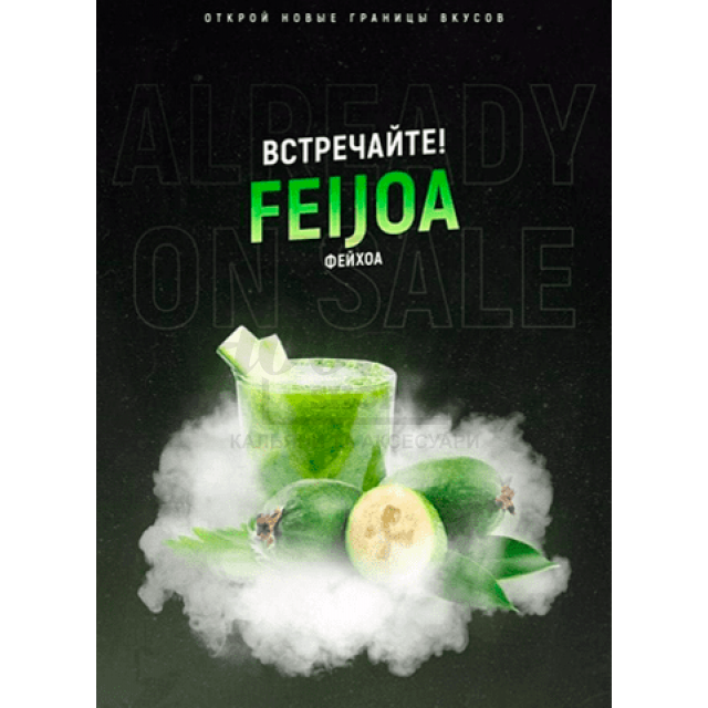 Табак 4:20 Classic Line Feijoa (Фейхоа) 100 гр