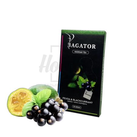Бестабачная смесь Bagator Feijoa & Blackcurrant (Фейхоа Смородина) 50гр