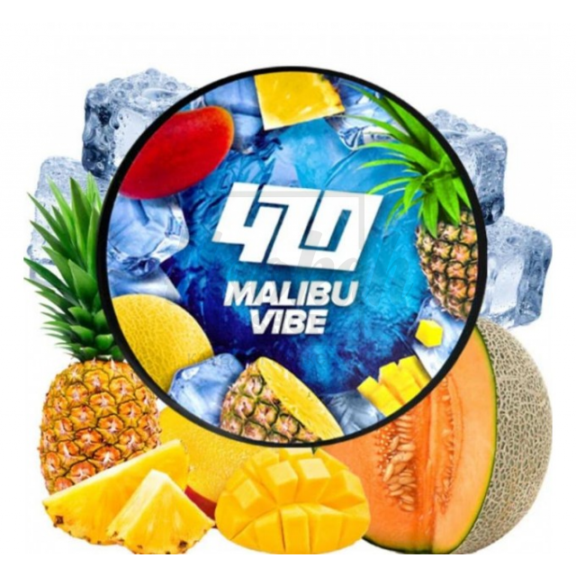 Табак 4:20 Frost Line Malibu Vibes (Ананас Манго Дыня) 100 гр