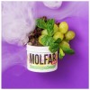 Табак Molfar Virginia Line Виноградний Орбіт (Виноградная Жвачка) 40 гр