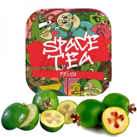 Чайная смесь Space Tea Feijoa (Фейхоа) 40гр
