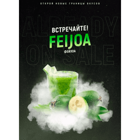 Табак 4:20 Classic Line Feijoa (Фейхоа) 100 гр