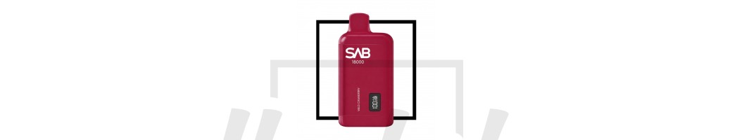 SAB 18000