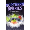 Тютюн 4:20 Northern Berries (Брусниця Морошка) 100 гр