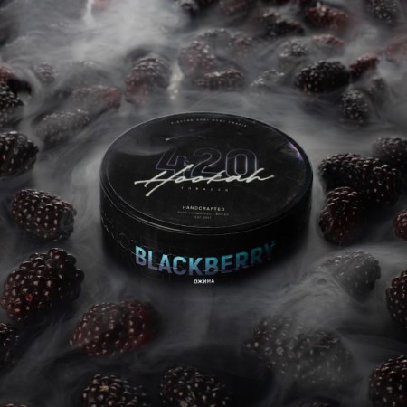 Табак 4:20 Blackberry (Ежевика) 100 гр