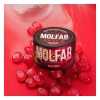 Табак Molfar Chill Line Барви (Барбарис) 100гр